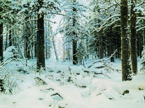希施金油画雪景 冬天的森林
