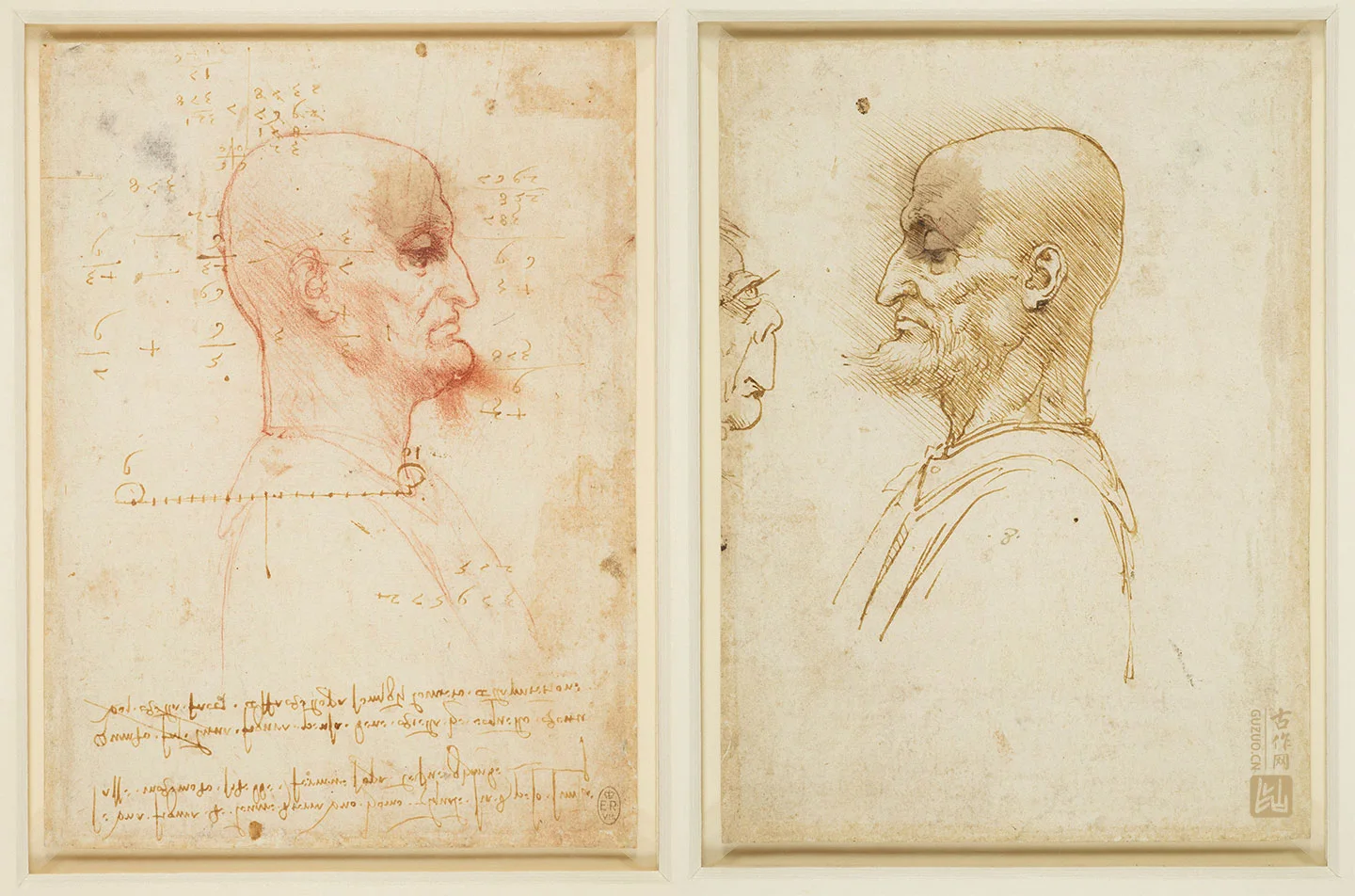 达·芬奇素描《没有头发的男人的侧面肖像》