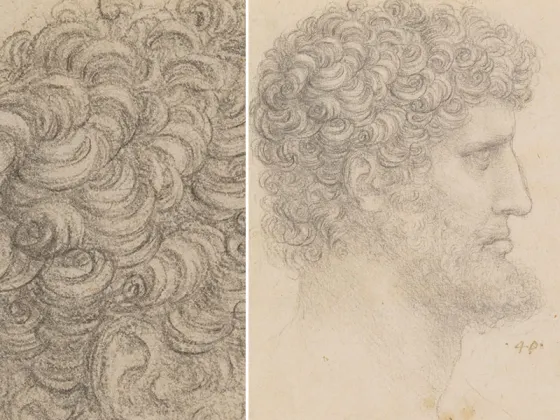 达·芬奇素描《有胡子的卷发男子头像》