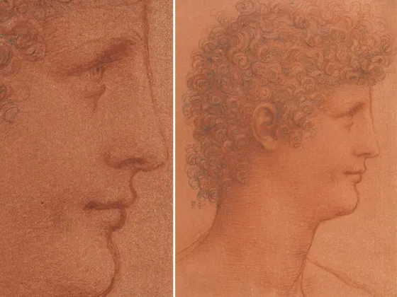 达芬奇素描人物作品《卷发青年男子头像》