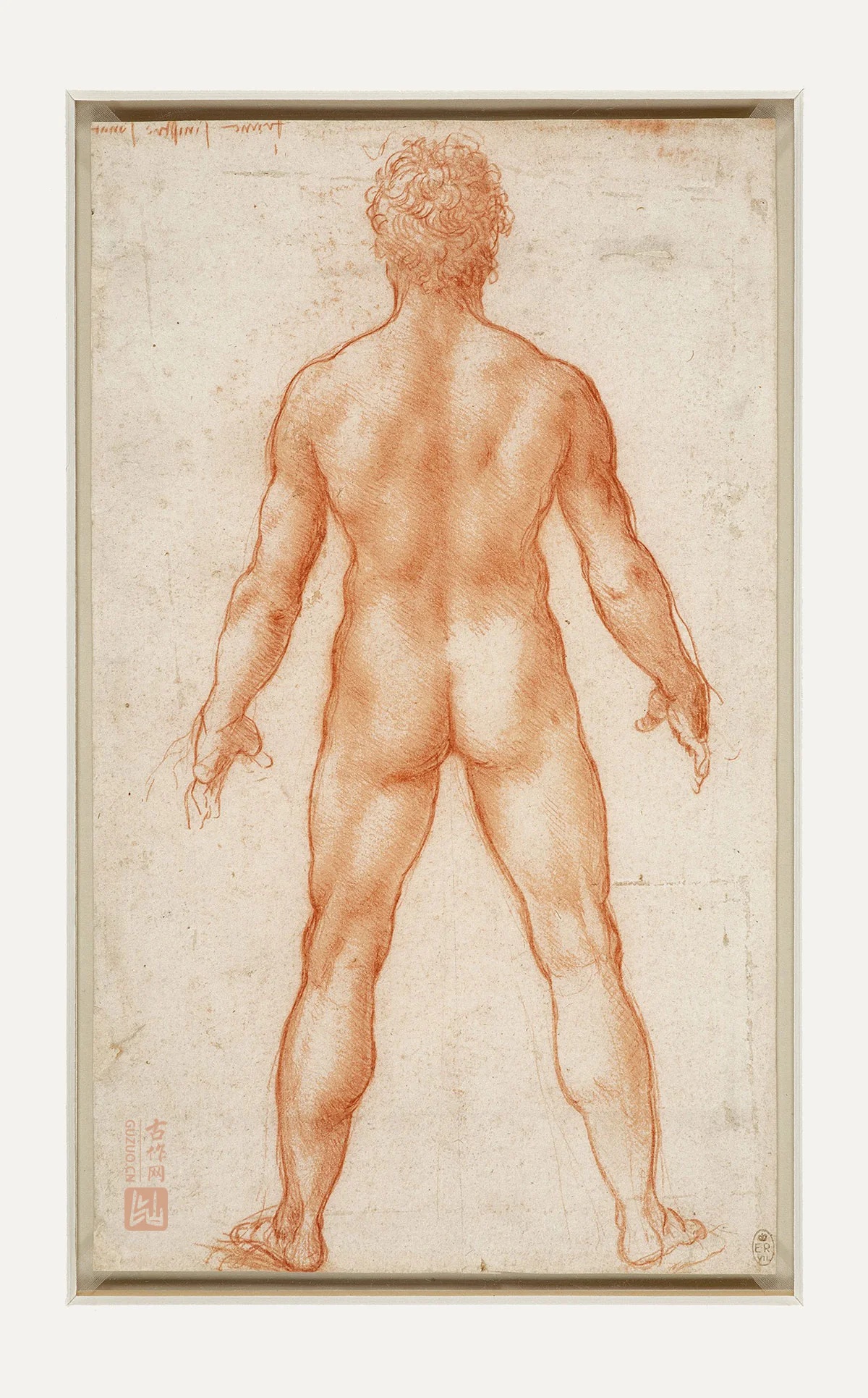 达芬奇素描画作品《男性人体的背部》