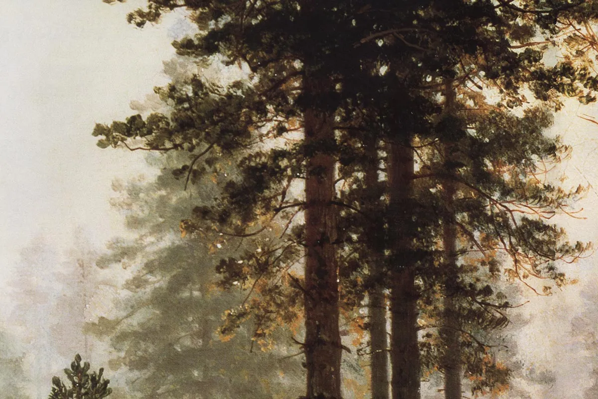 希施金油画风景《森林的晨雾》局部 (4)