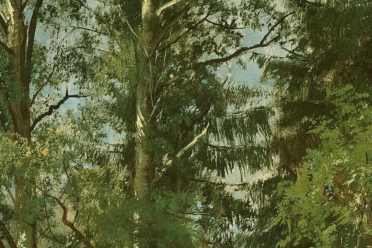 希施金森林风景画 树与树桩局部 (5)