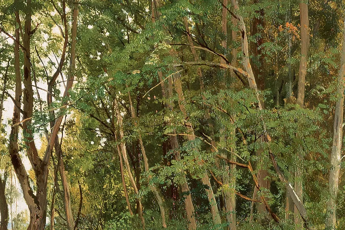 希施金风景油画《树林边草地上的野花》局部 (2)