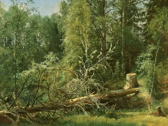 希施金森林风景画树与树桩