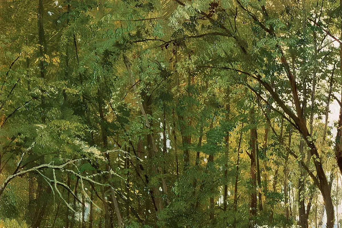 希施金风景油画《树林边草地上的野花》局部 (1)