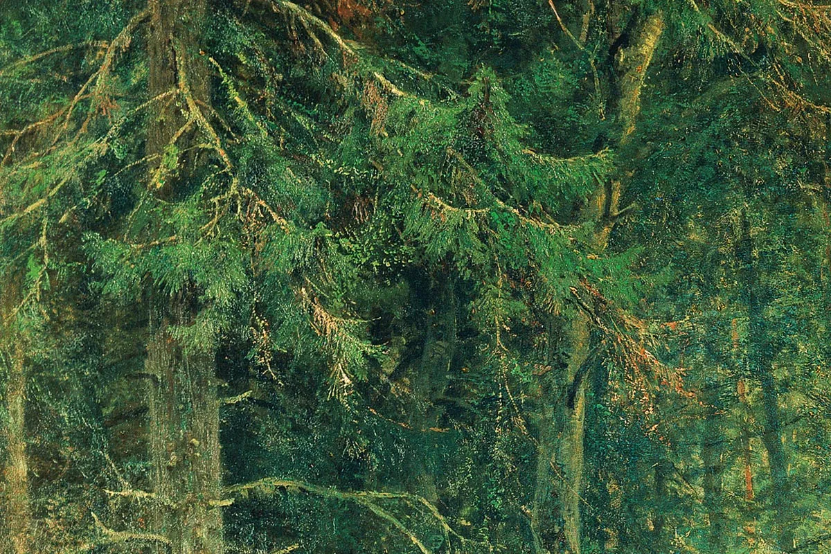 希施金油画森林风景《边远地区的森林》局部 (5)