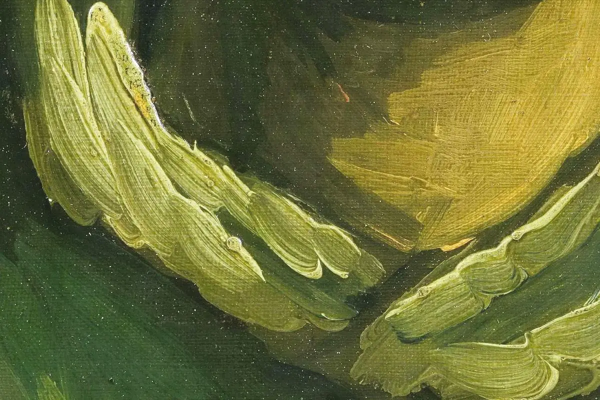 梵高油画习作《一个农妇的头像》局部 (3)