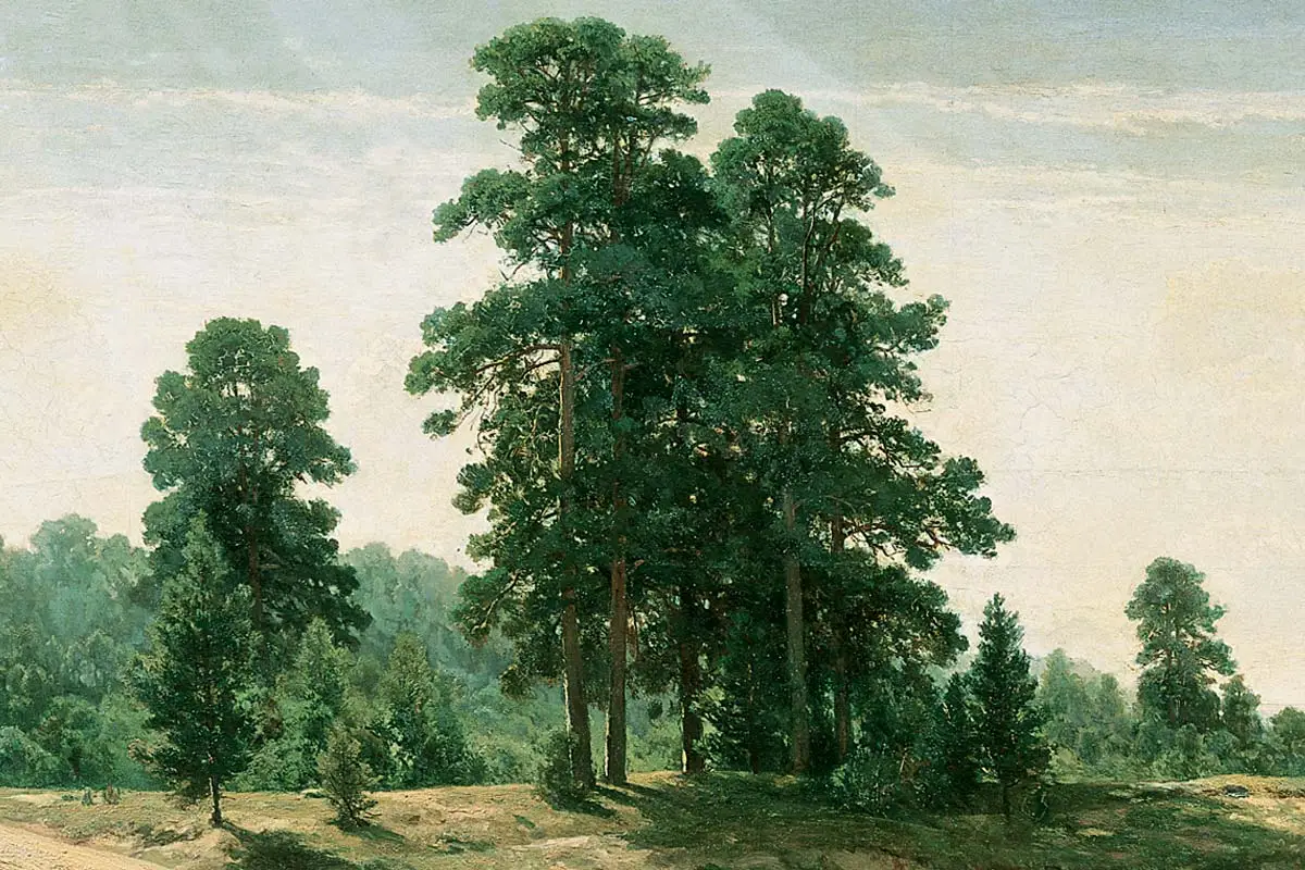 希施金风景画《沙地的树》局部 (1)