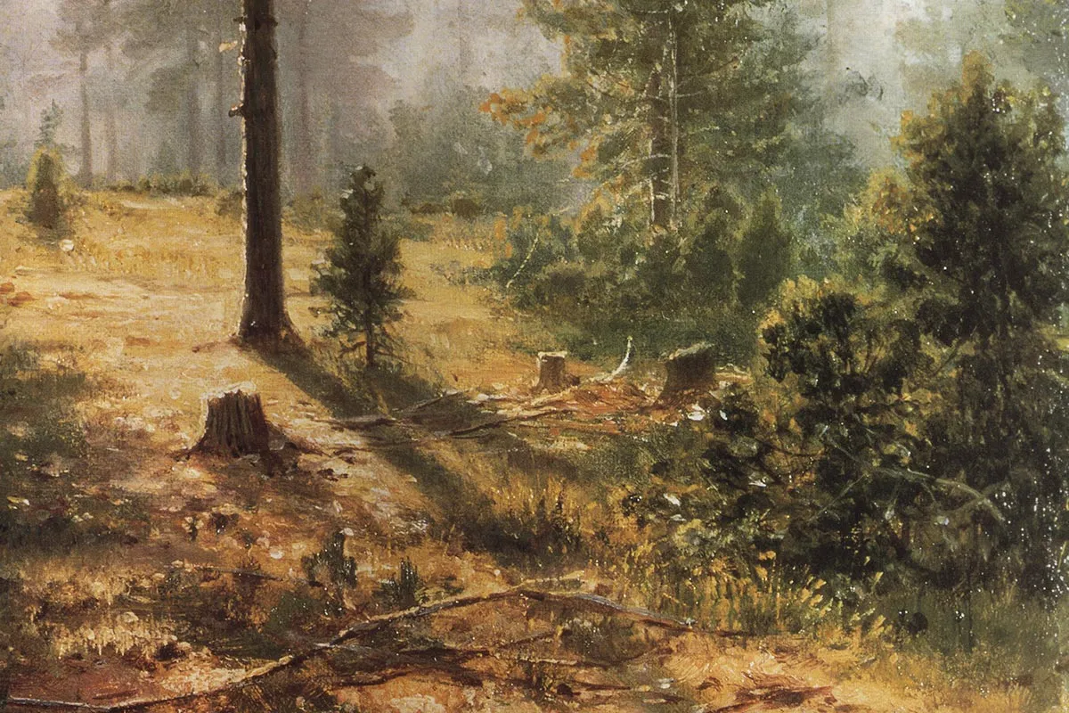 希施金油画风景《森林的晨雾》局部 (2)
