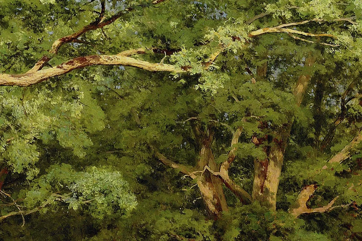 希施金森林空地上的大树与野花风景画局部 (2)