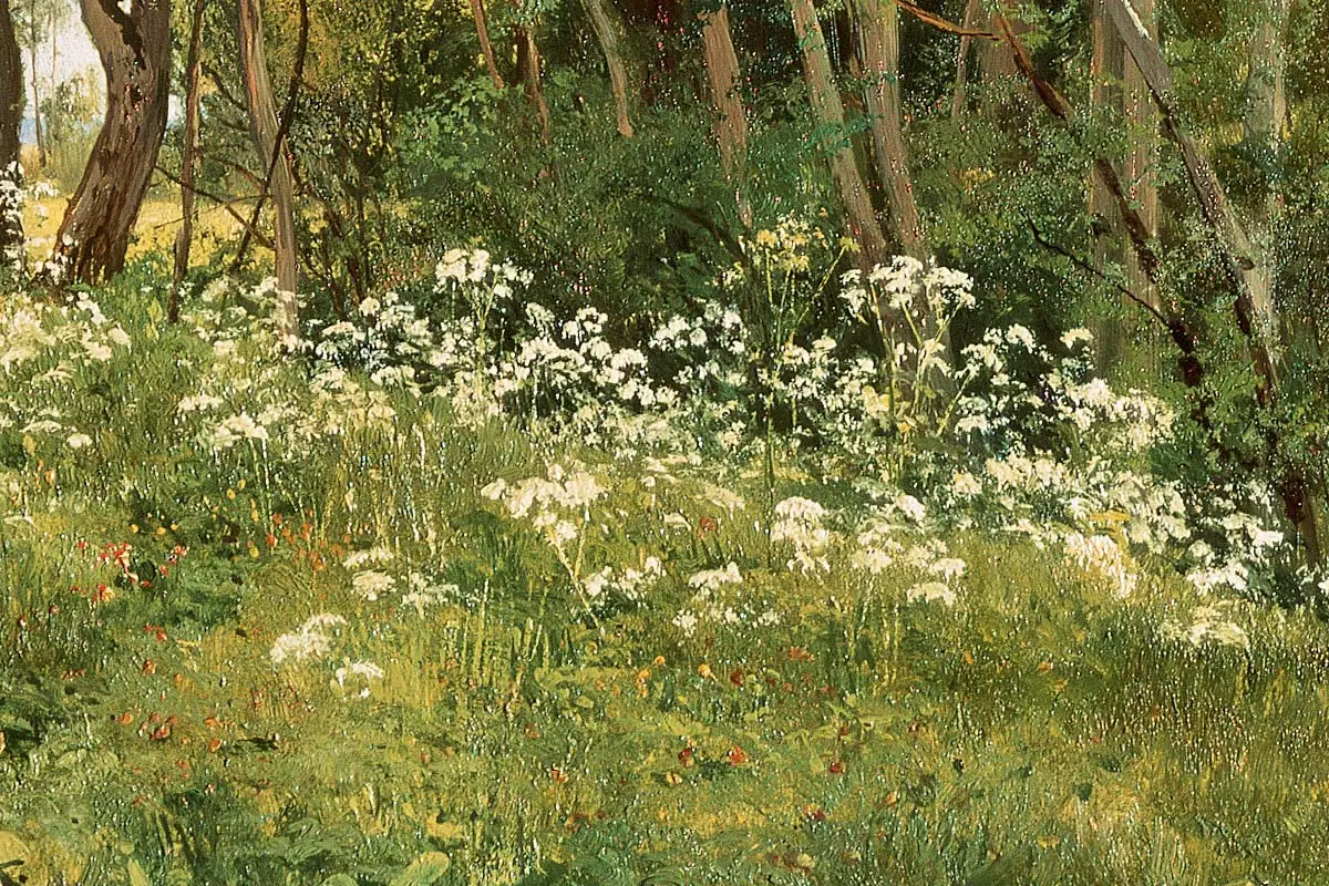 希施金风景油画《树林边草地上的野花》局部 (3)