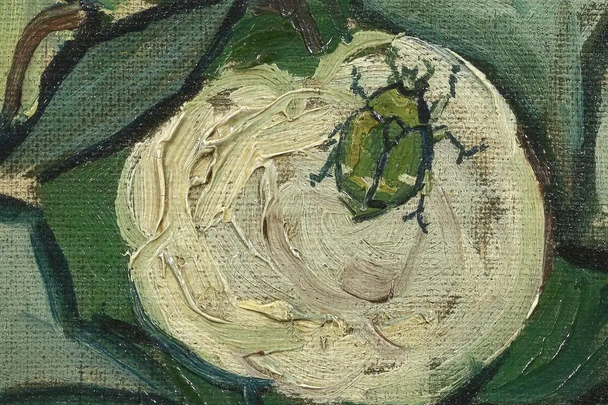 梵高花卉画作品《玫瑰和甲虫》高清大图局部细节 (1)