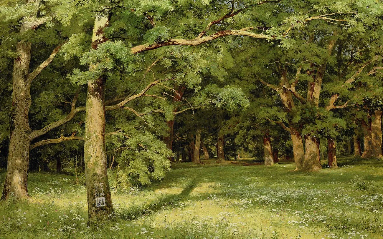 希施金风景画-森林空地上的大树与野花
