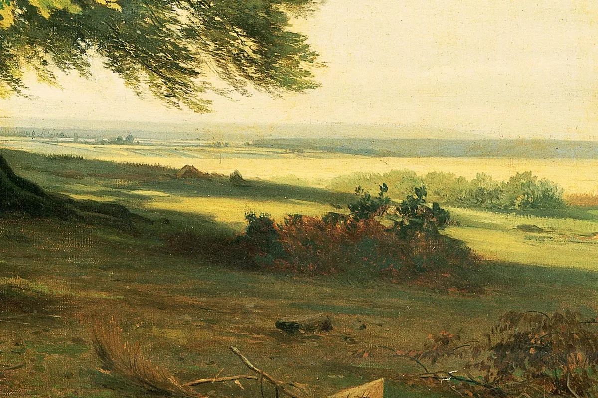 希施金油画风景作品《条顿堡森林的大树》局部 (9)