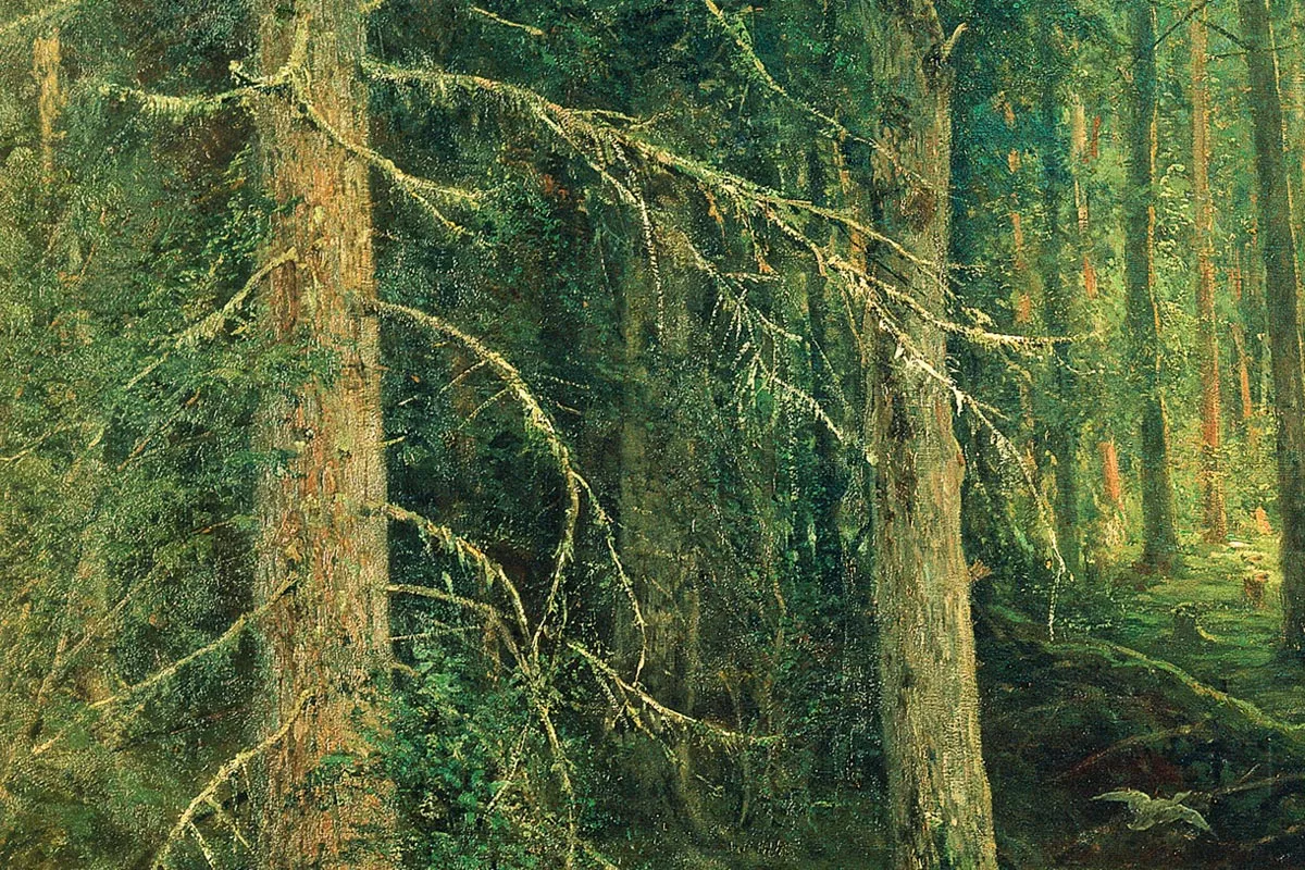 希施金油画森林风景《边远地区的森林》局部 (4)