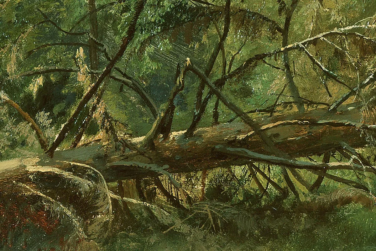希施金森林风景画 树与树桩局部 (3)