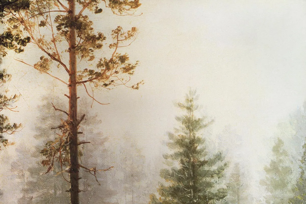 希施金油画风景《森林的晨雾》局部 (3)