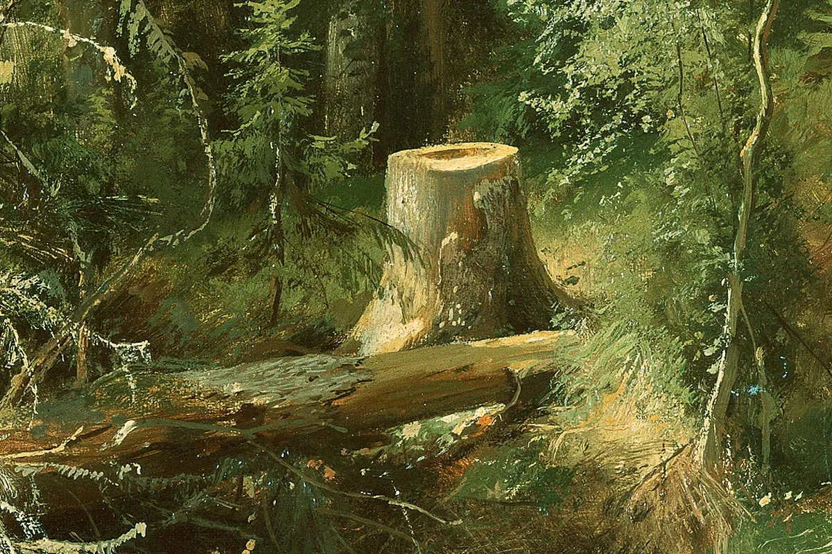 希施金森林风景画 树与树桩局部 (1)