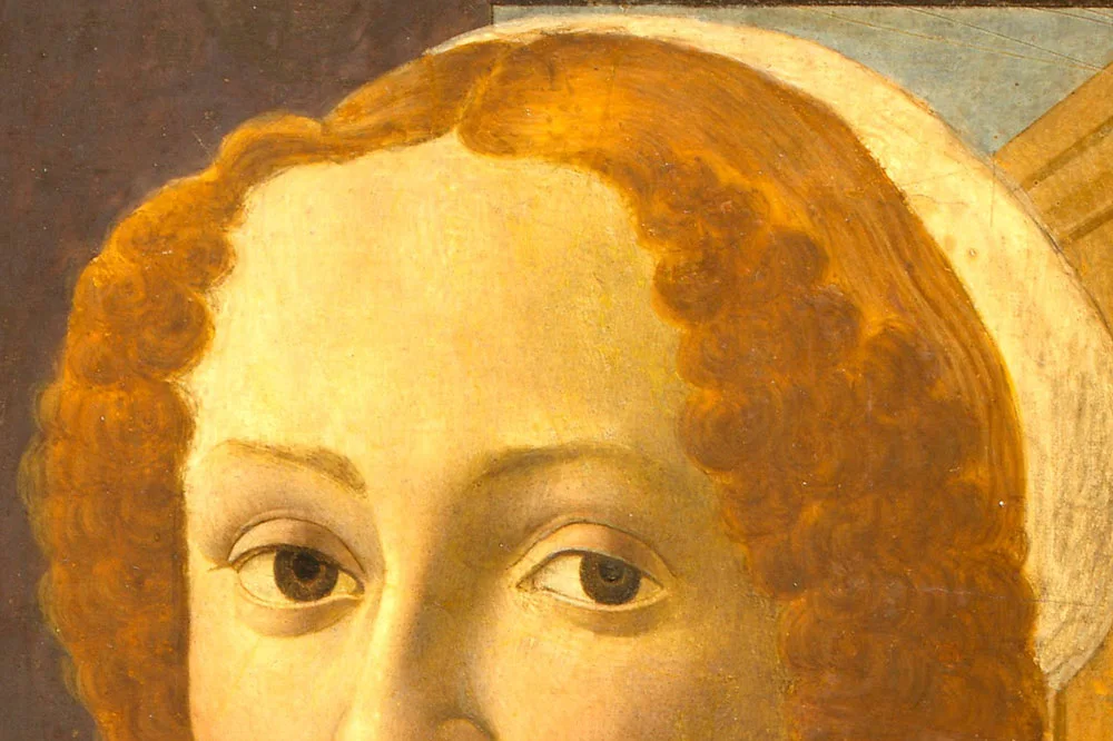波提切利肖像画作品《班迪内利女士的肖像》局部 (1)