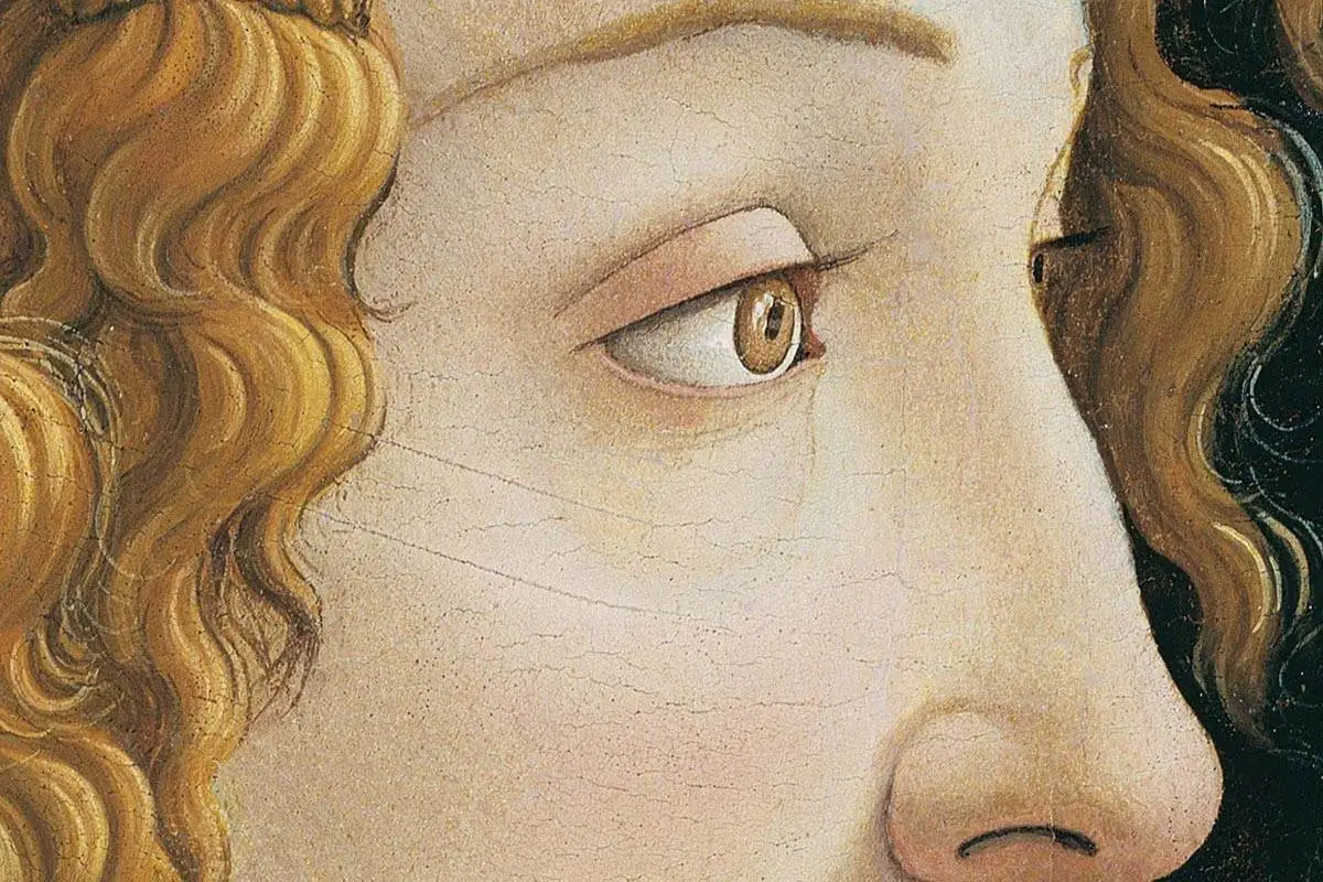 波提切利肖像画作品《西蒙内塔·韦斯普奇》局部 (1)