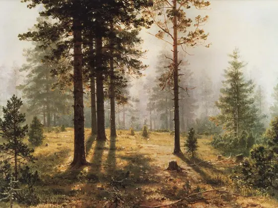 希施金油画风景《森林的晨雾》