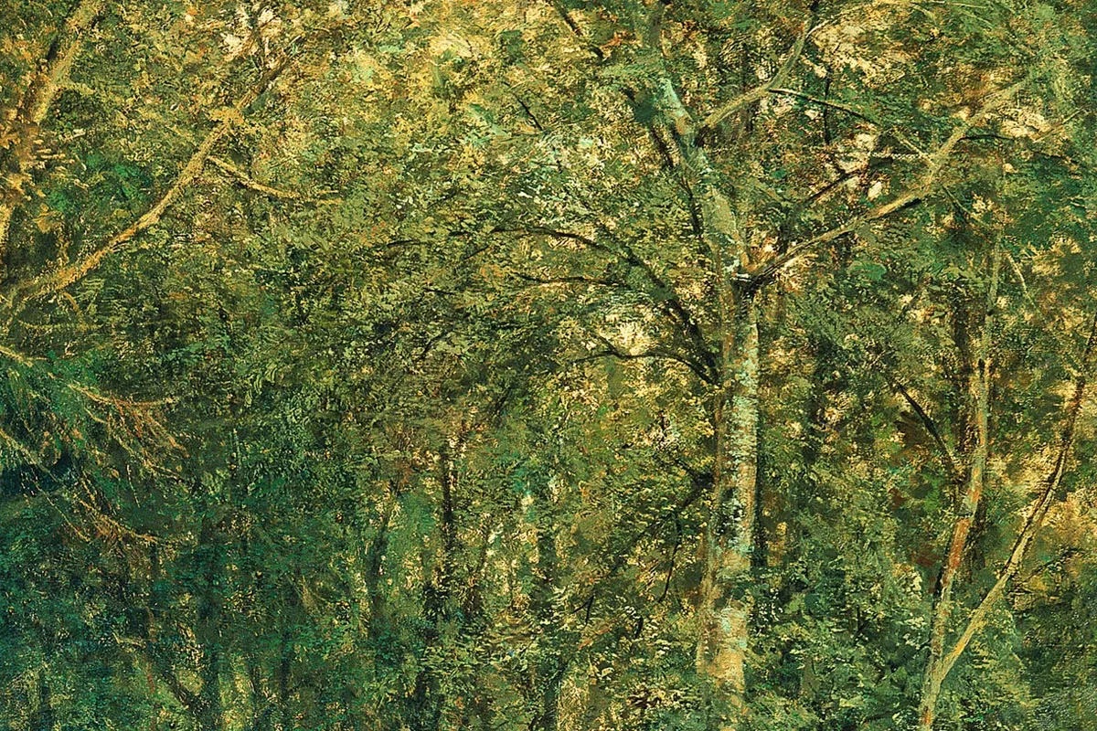 希施金油画森林风景《边远地区的森林》局部 (6)