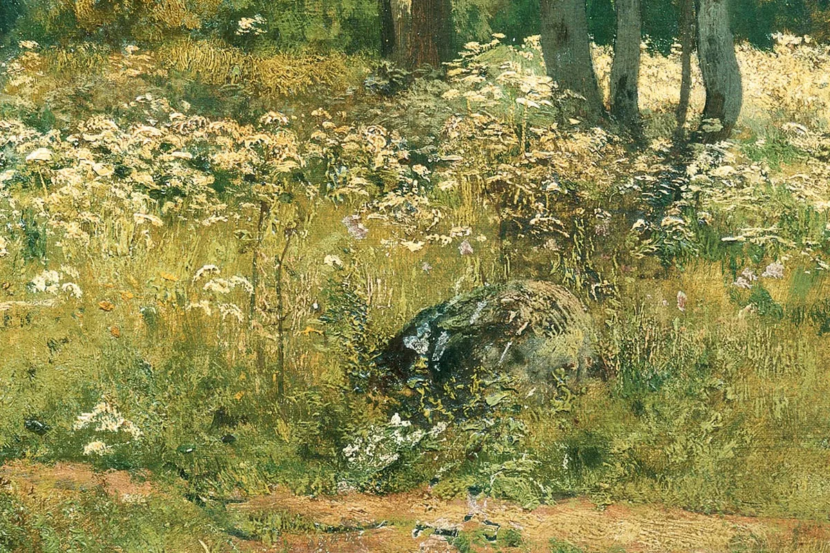 希施金油画风景作品《树林中草地上的野花》局部 (2)