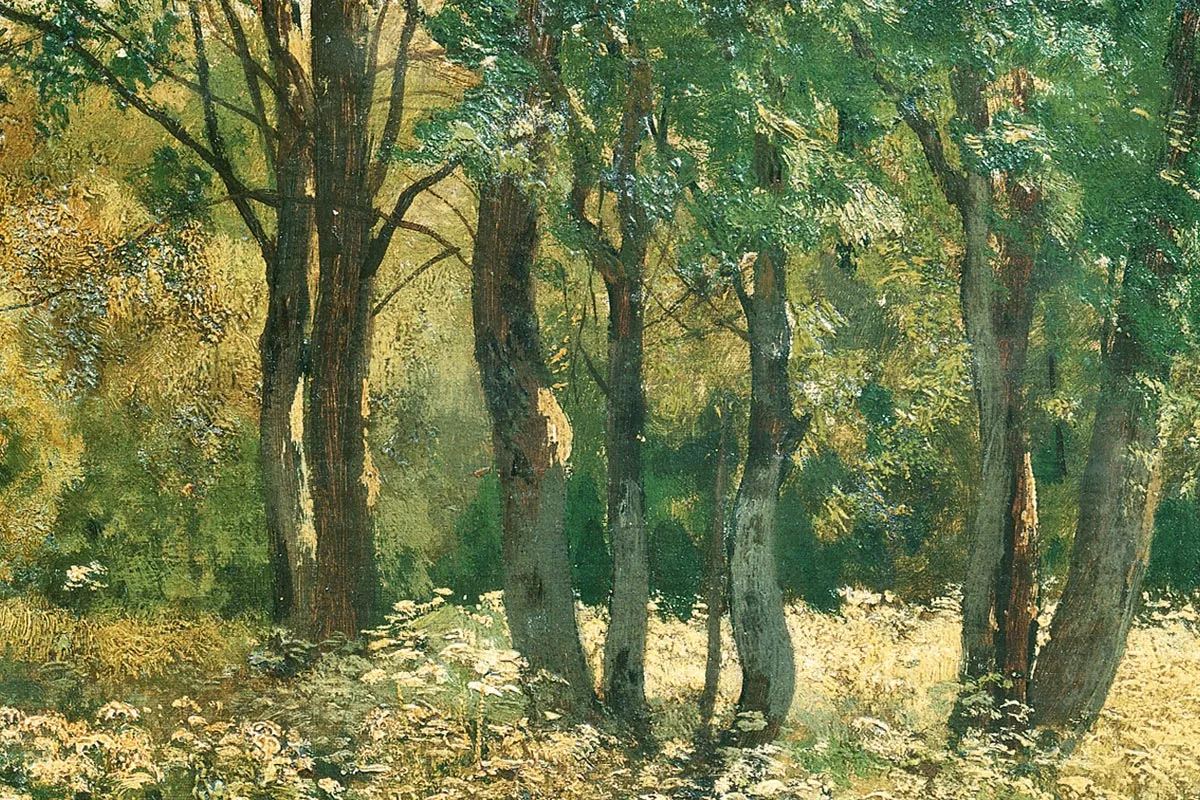 希施金油画风景作品《树林中草地上的野花》局部 (3)
