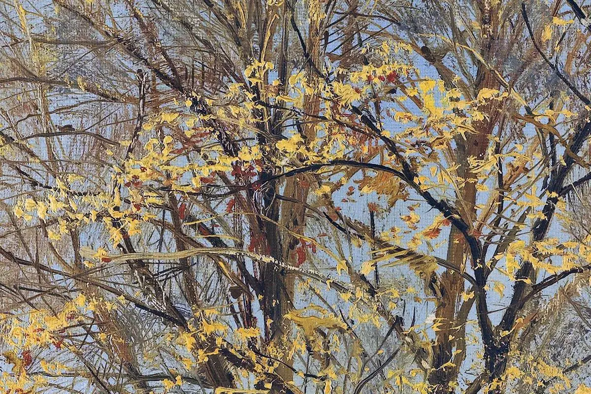 希施金风景画-秋天的树林 (1)
