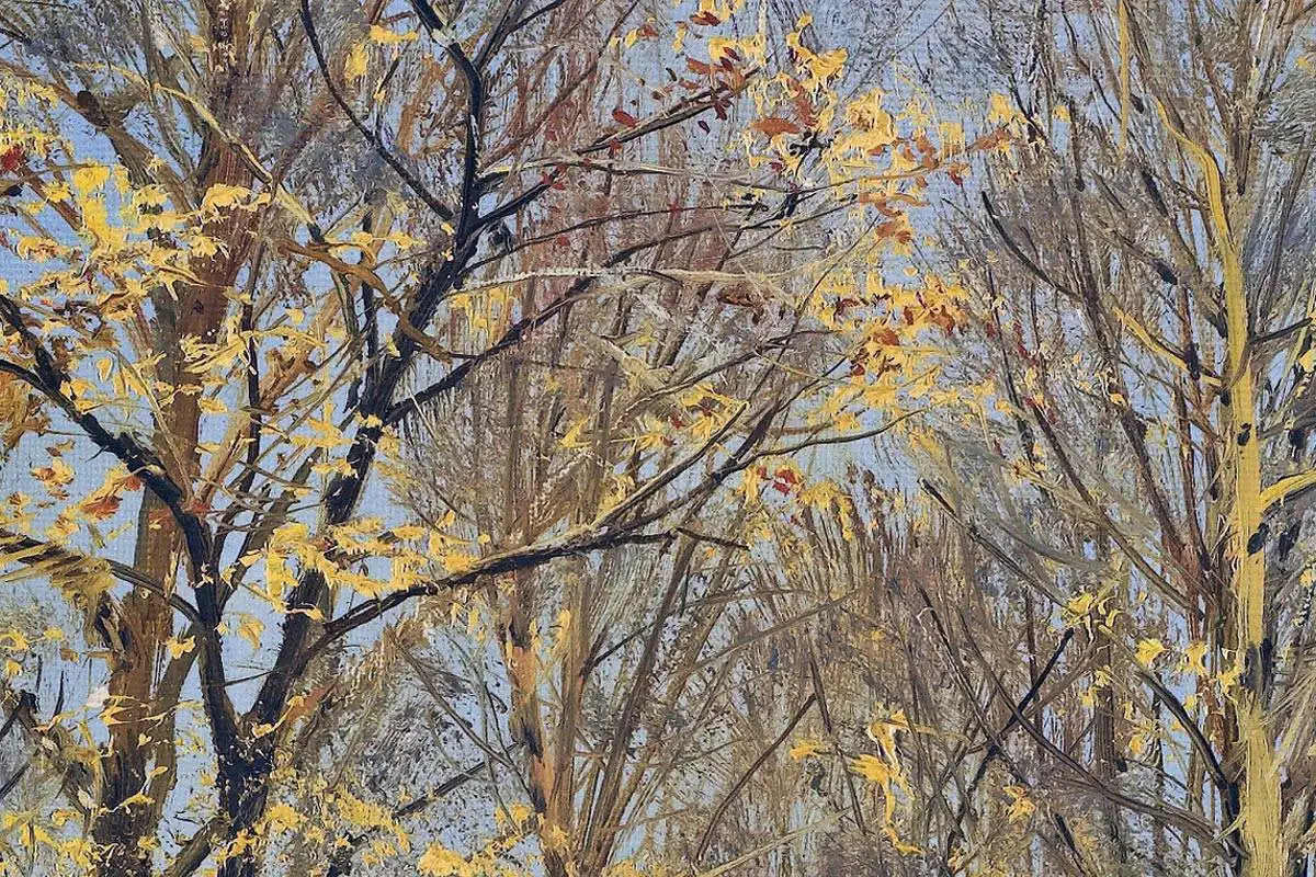 希施金风景画-秋天的树林 (2)