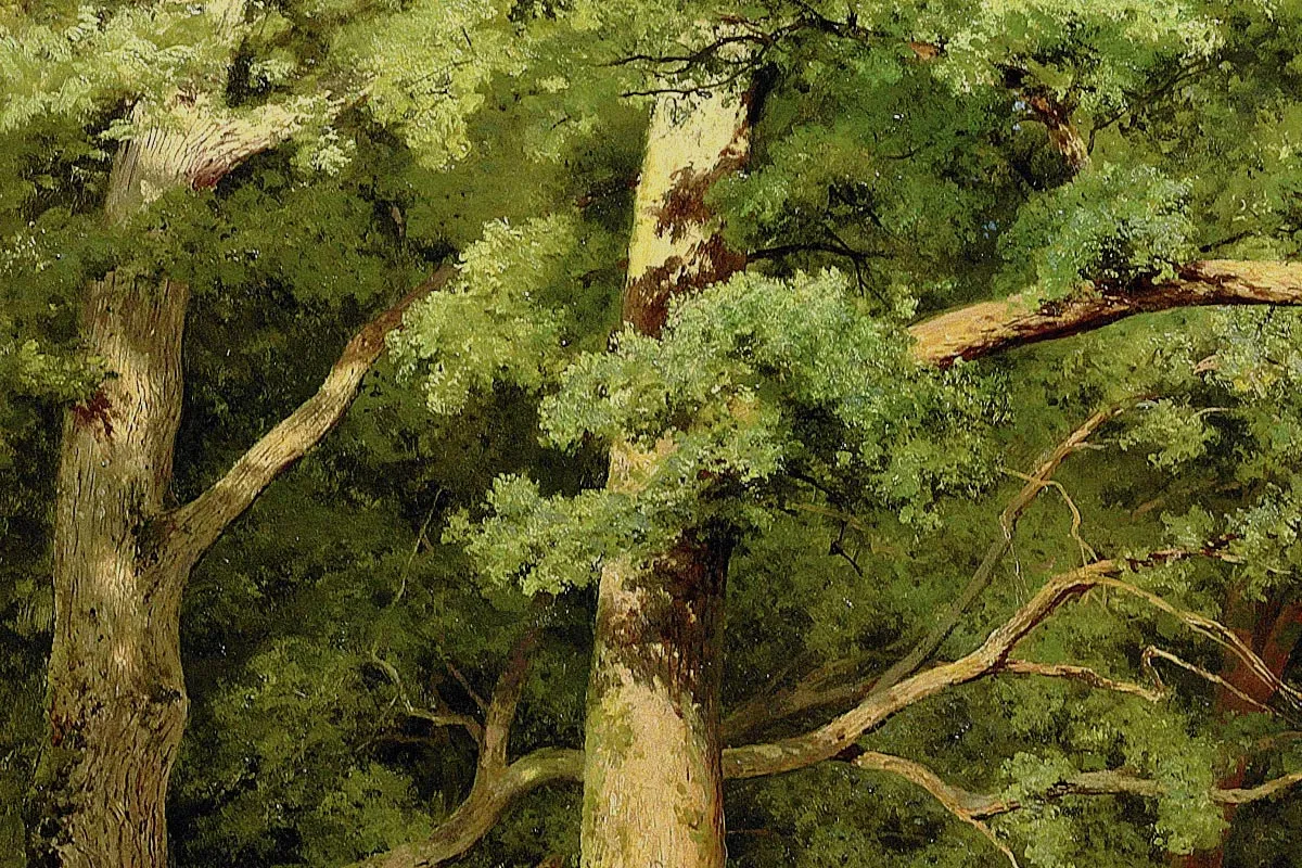 希施金森林空地上的大树与野花风景画局部 (1)