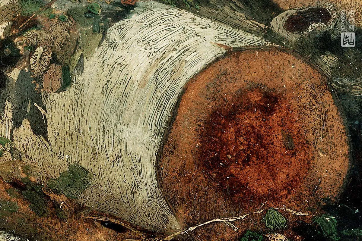 希施金作品《砍伐的桦树》局部 (2)