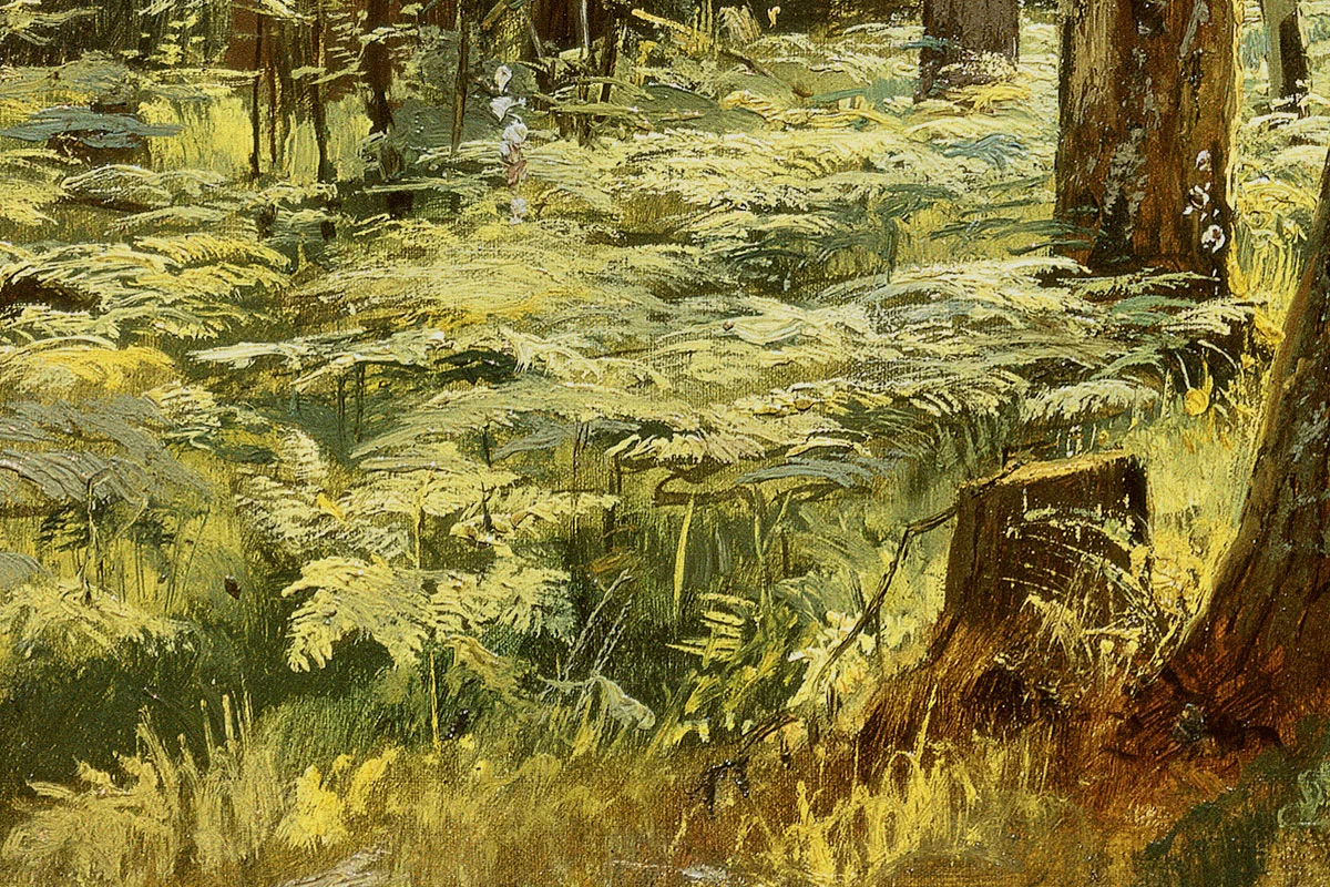 希施金风景油画《森林里的蕨类植物》局部 (4)