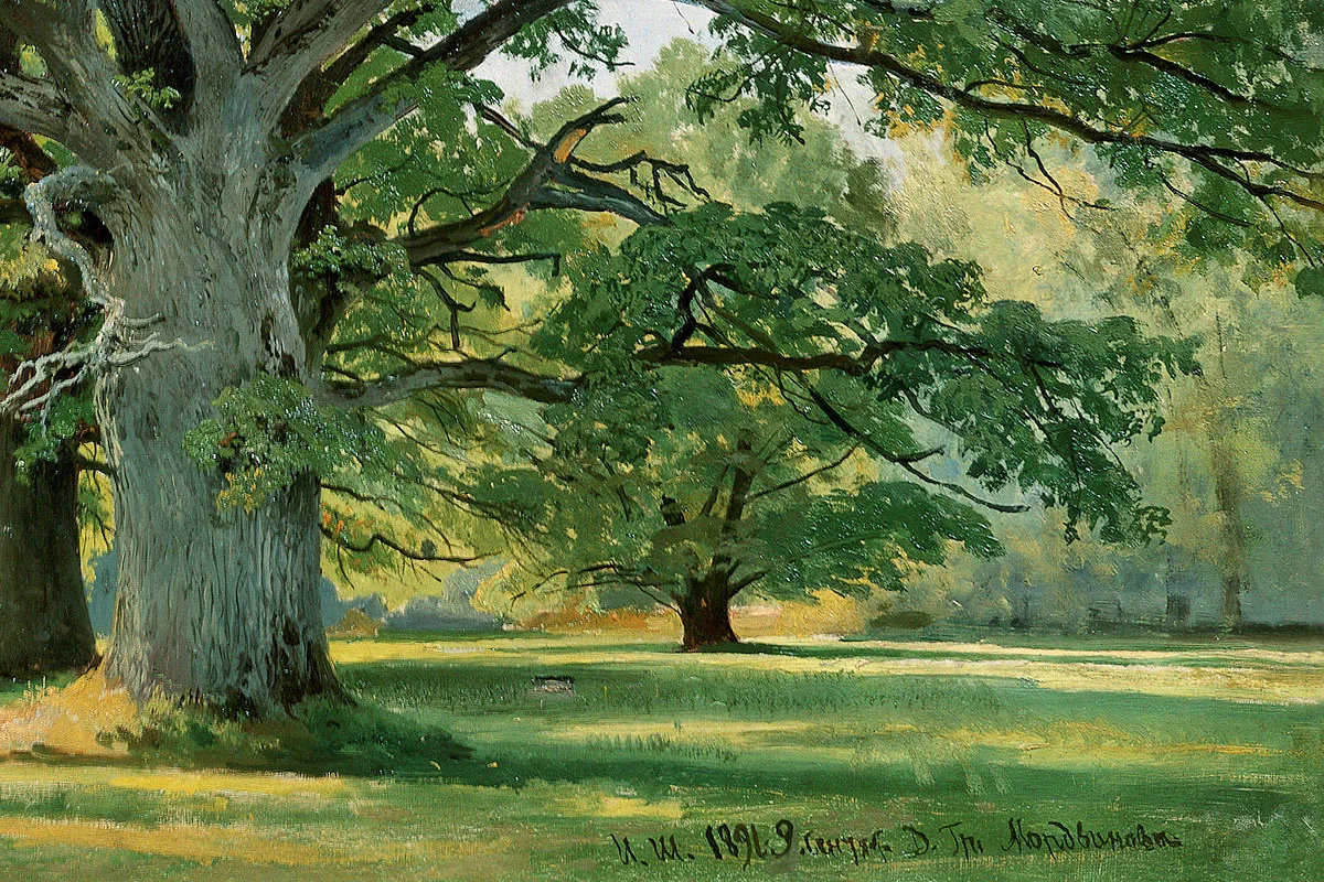 希施金油画橡树风景《草地上的橡树》局部 (1)
