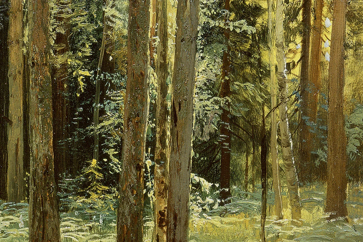 希施金风景油画《森林里的蕨类植物》局部 (2)