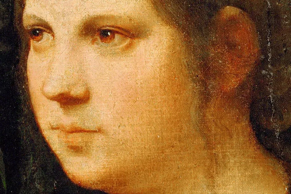 乔尔乔内油画肖像作品《一个年轻女人的肖像》局部 (1)