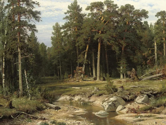 希施金森林风景画《维亚特卡的松林》