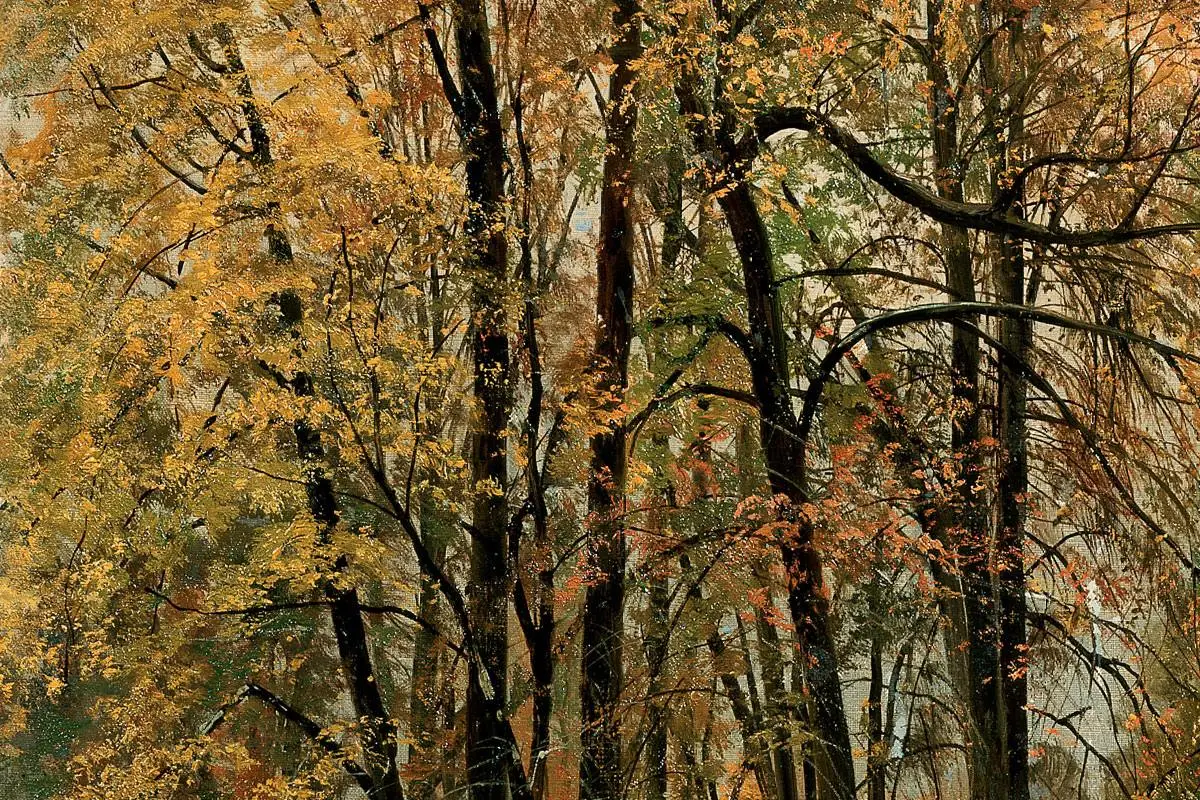 希施金油画风景《秋天的树林》局部 (4)