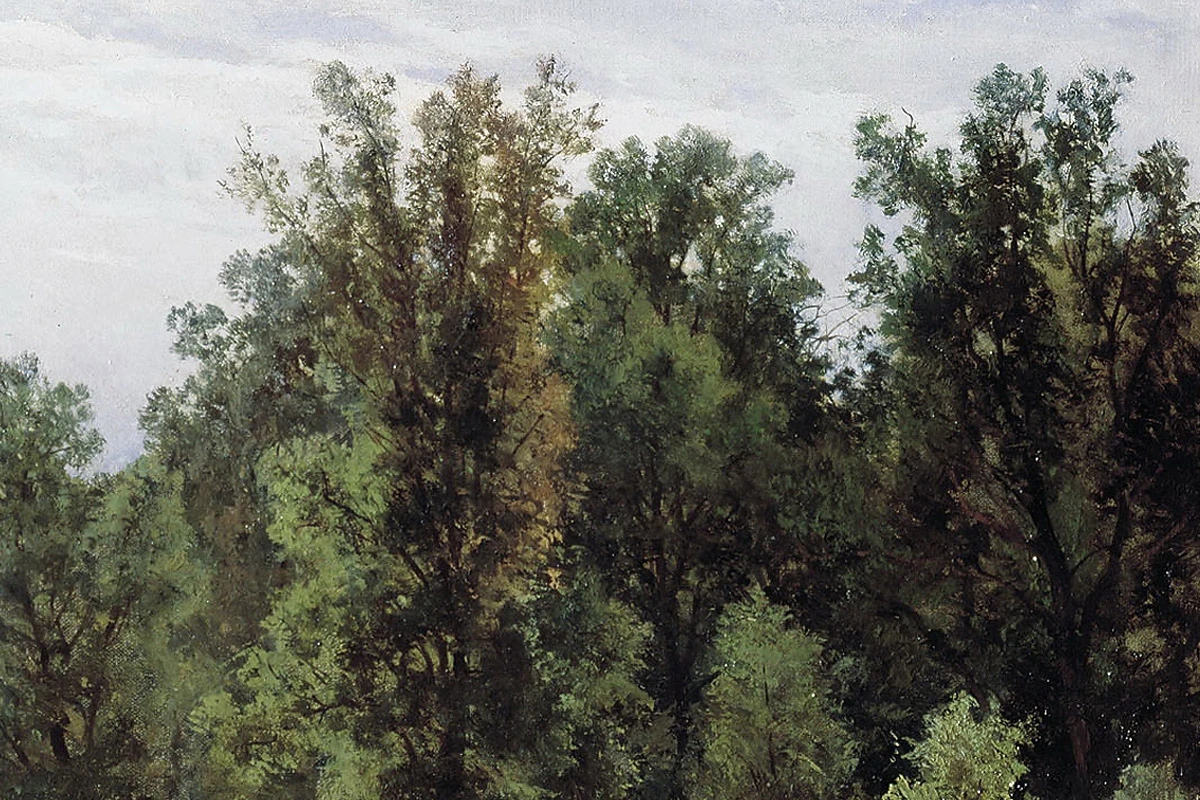 希施金油画风景《森林中的养蜂场》局部 (2)