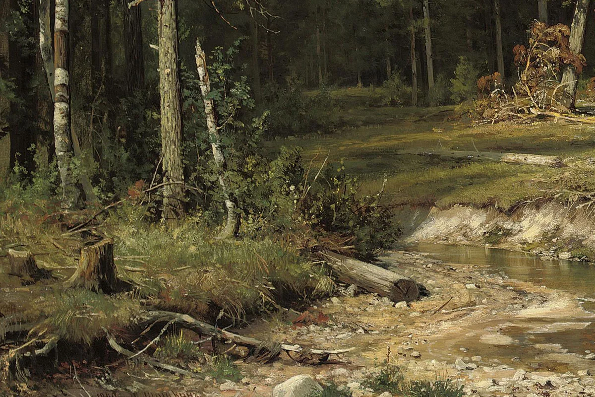 希施金森林风景画《维亚特卡的松林》局部 (1)