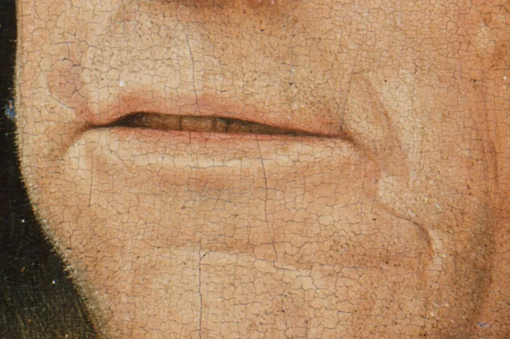 扬·凡·爱克油画头像作品《拿着康乃馨的男人肖像》局部 (3)