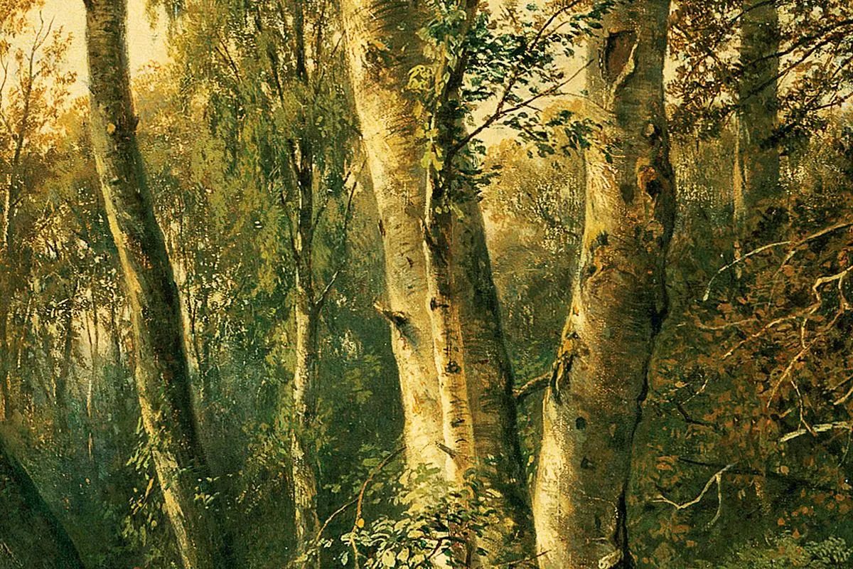 希施金油画风景《有苍鹭的森林风景》局部 (3)