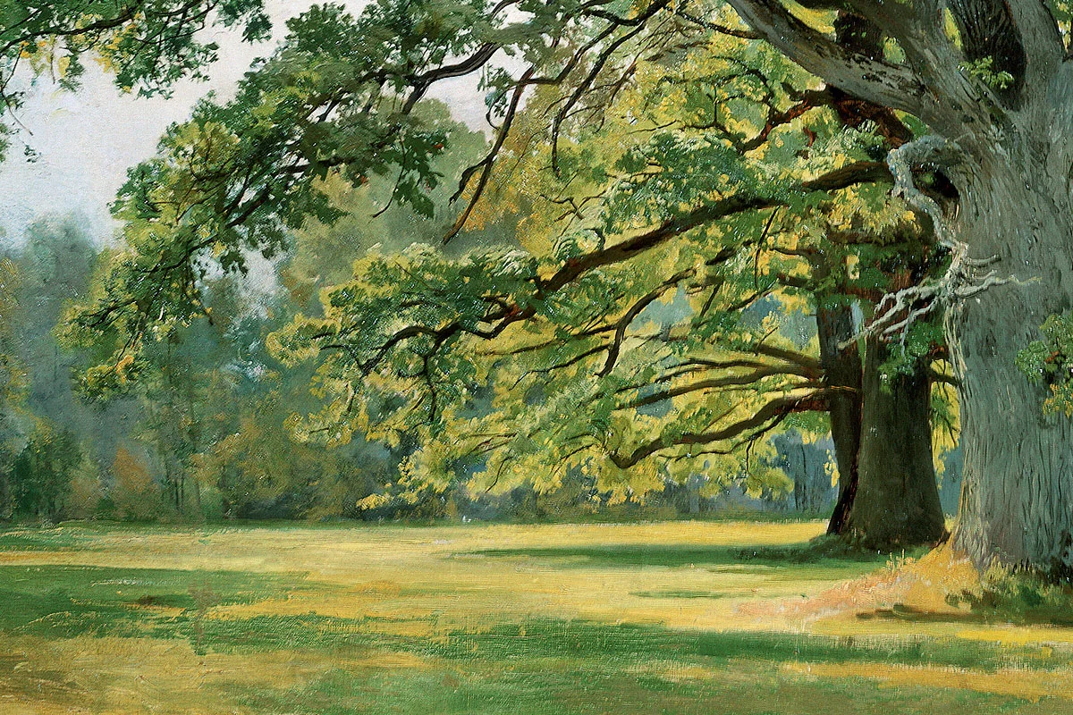 希施金油画橡树风景《草地上的橡树》局部 (4)