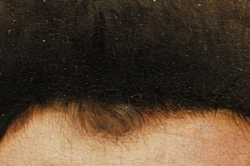扬·凡·爱克油画头像作品《拿着康乃馨的男人肖像》局部 (6)