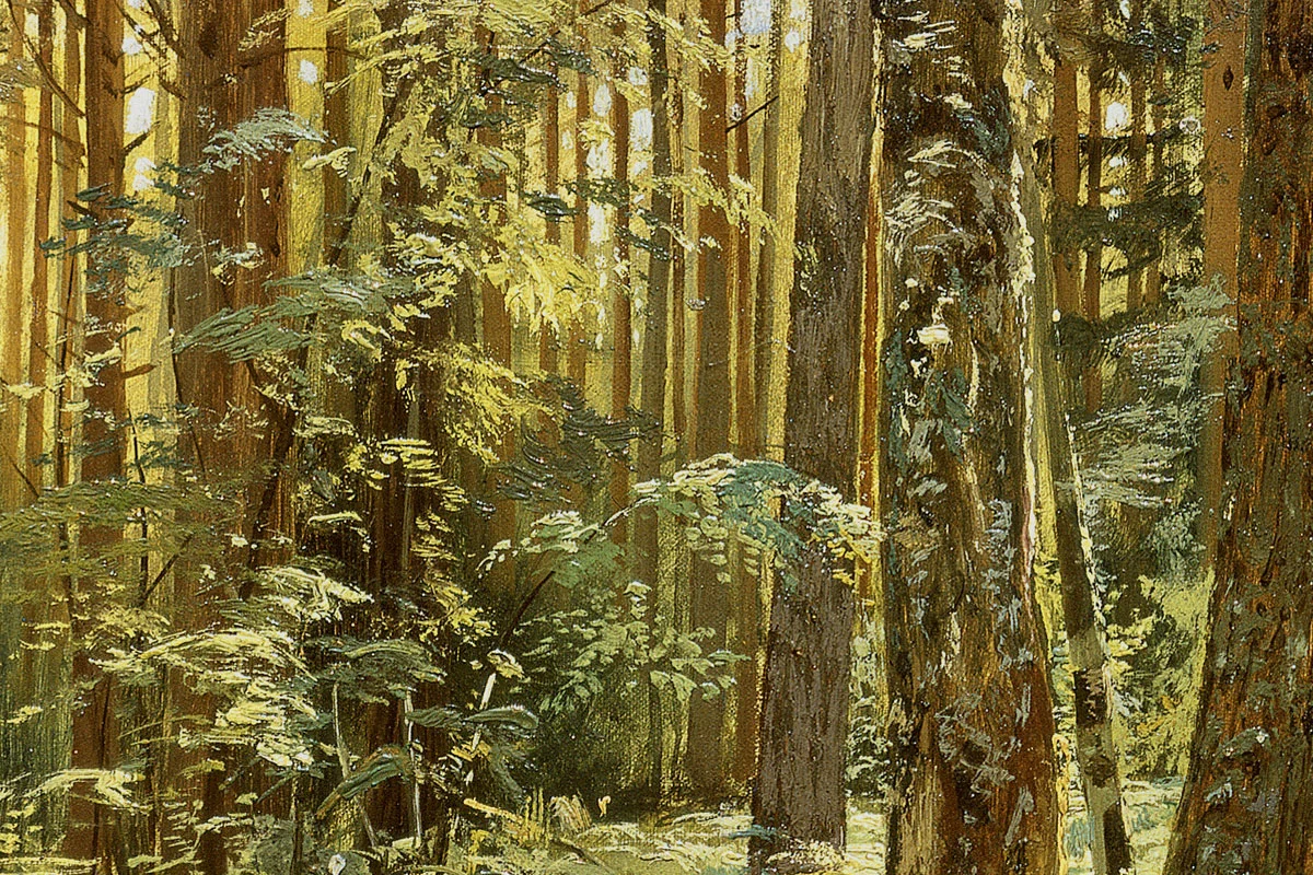 希施金风景油画《森林里的蕨类植物》局部 (1)