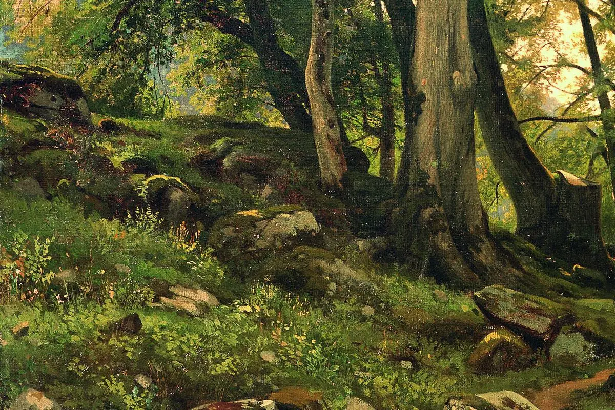 希施金油画风景《瑞士的水青冈森林》局部 (3)