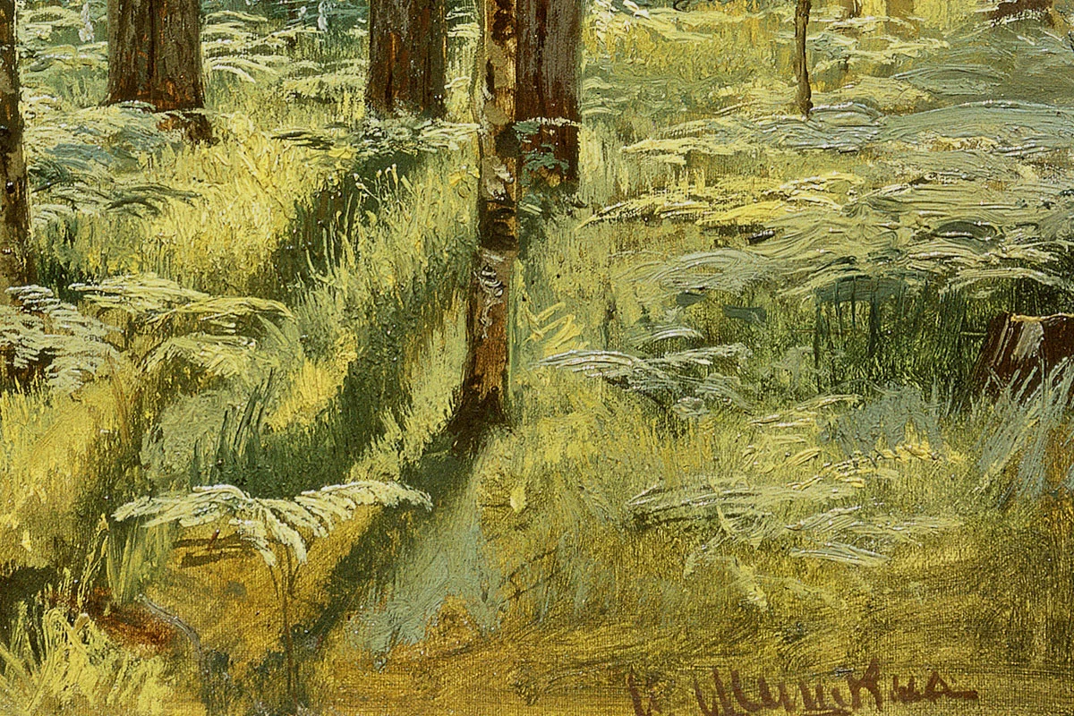 希施金风景油画《森林里的蕨类植物》局部 (3)