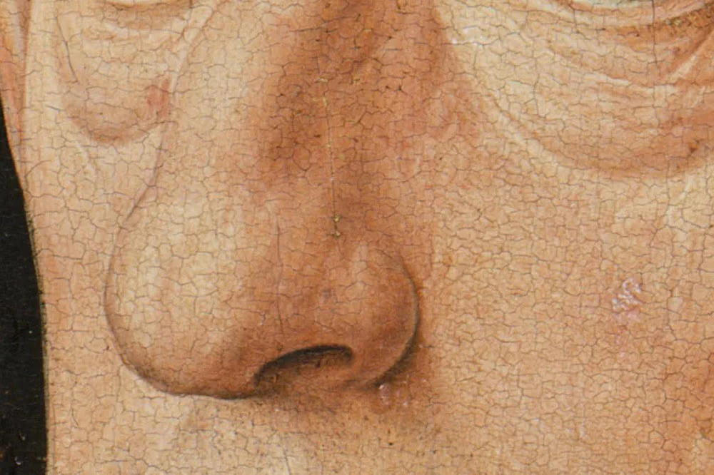 扬·凡·爱克油画头像作品《拿着康乃馨的男人肖像》局部 (2)