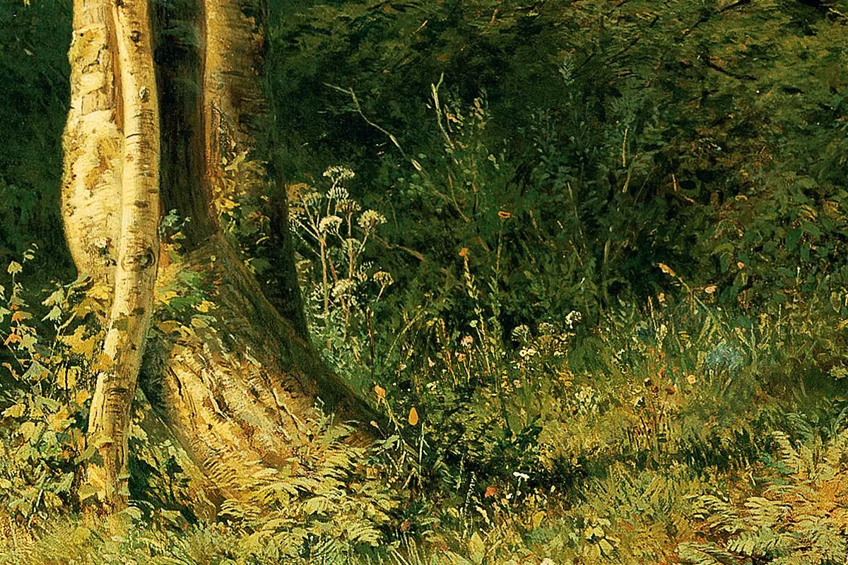 希施金油画风景《有苍鹭的森林风景》局部 (2)